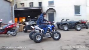 UM Квадроцикл Pantera 250