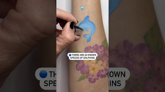Tiny Dolphin! ?? #carolinathedoodler #dolphin #dolphins #cheekart #facepainting #satisfyingasmr смотреть онлайн