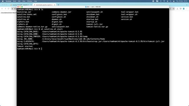 Download and Install Tomcat 8.5 on macOS смотреть онлайн