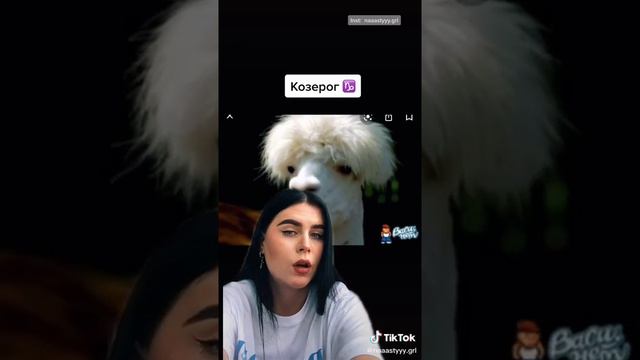 Какое ты животное по зз смотреть онлайн