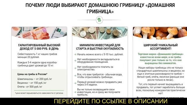 Грибница для домашнего выращивания смотреть онлайн