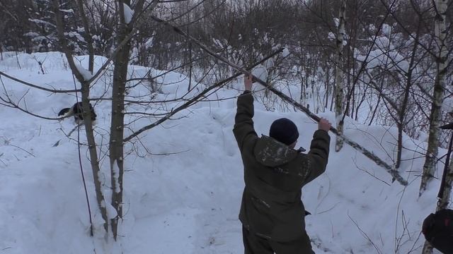 ТРИ ДНЯ СТРОИЛ ДОМ ИЗ СНЕГА! Помогал мой ВЕРНЫЙ МОХНАТЫЙ ДРУГ! смотреть онлайн