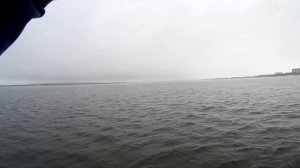 Судак на дроп шот или всё таки на джиг