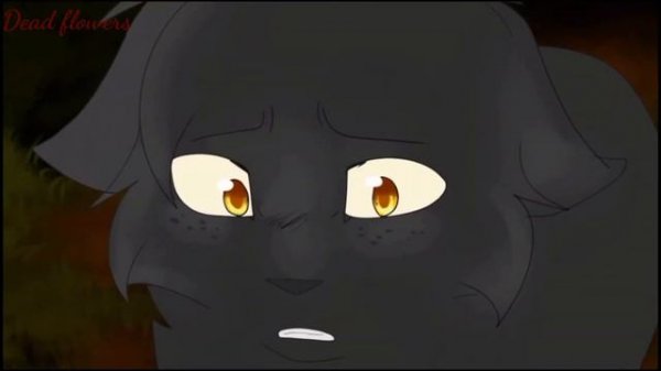 Warriors Cats - Wien (Sad clip) // Коты воители - Вена (Грустный клип)