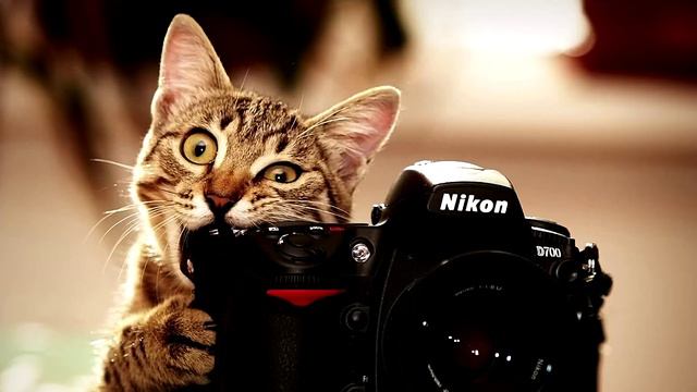 Лучшие фотографии не сняты смотреть онлайн