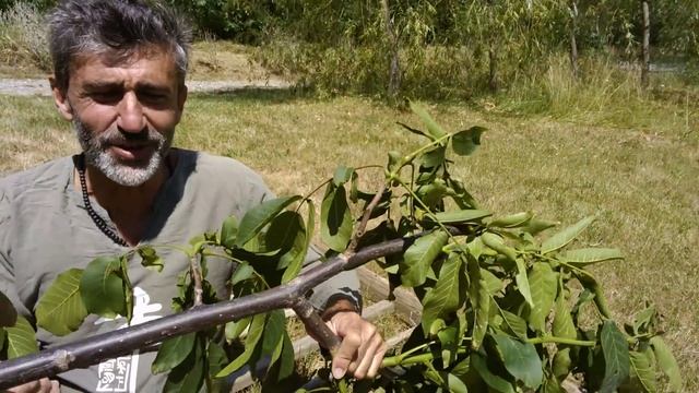 How to repair a broken ladder смотреть онлайн