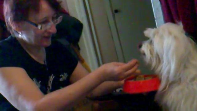 А это я - Пуня смотреть онлайн