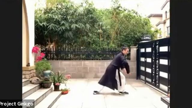 Отрывок из занятия курса по первой форме Тай И - Плавающий дракон с Учителем Хао. смотреть онлайн