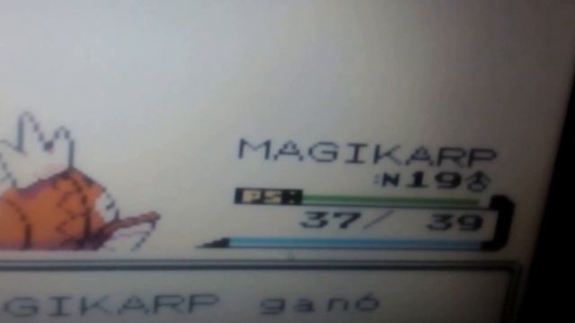 Magikarp's Evolution (Guile Theme) смотреть онлайн