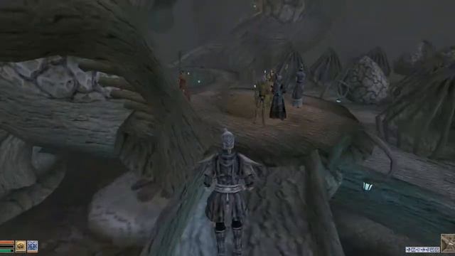 Talky Morrowind + Tamriel Rebuilt - Mainland Temple - Chores in Port Telvannis смотреть онлайн