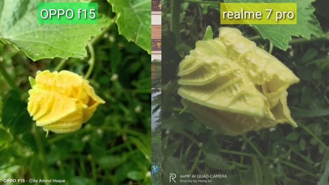 Realme 7 pro vs OPPO f15 camera test ,realme 7 Pro or oppo f15 camera comparison смотреть онлайн