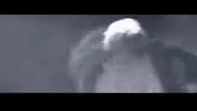Niagara смотреть онлайн