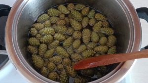 Варенье из сосновых шишек. Как собирать и подробный рецепт.
