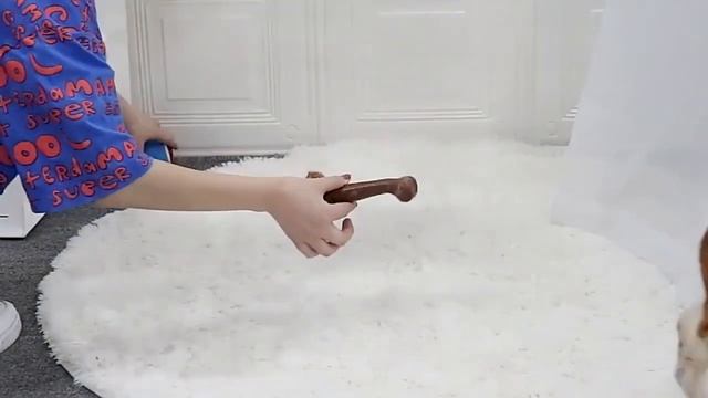 Водонепроницаемая одежда для собак смотреть онлайн
