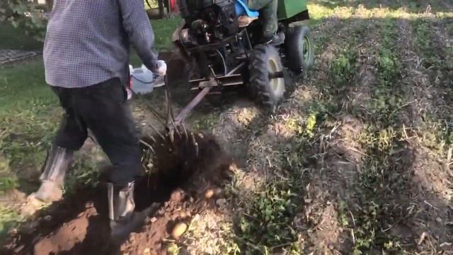 Мототрактор. Копаємо картоплю. Міні Т-16 смотреть онлайн