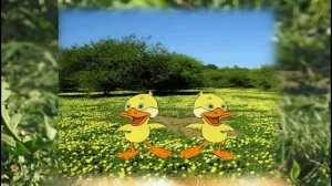 Танец маленьких утят