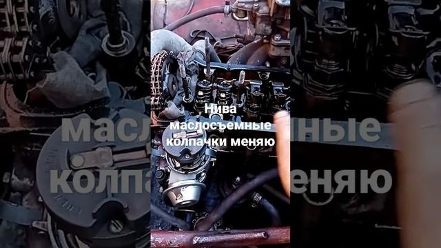 Маслосъемные колпачки! Замена смотреть онлайн