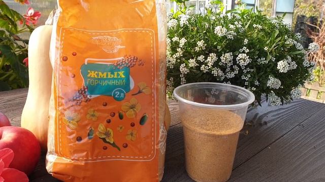 Уйдут без химии. Одним махом: Нет медведки, хруща, нематод. Простой способ. смотреть онлайн