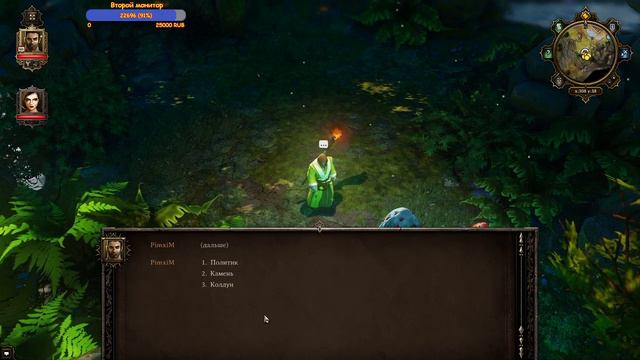 Divinity Original Sin (Enhanced Edition) - кооператив - часть 9 смотреть онлайн