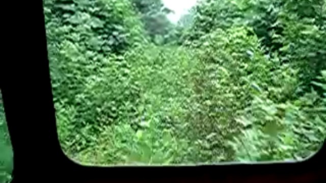 Сила природы смотреть онлайн