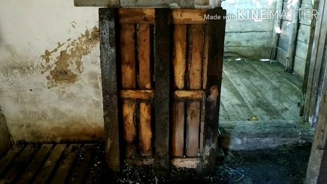 Плюсы и минусы содержания коз на поддонах смотреть онлайн