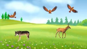 Чудесная Азбука. Буква Р.