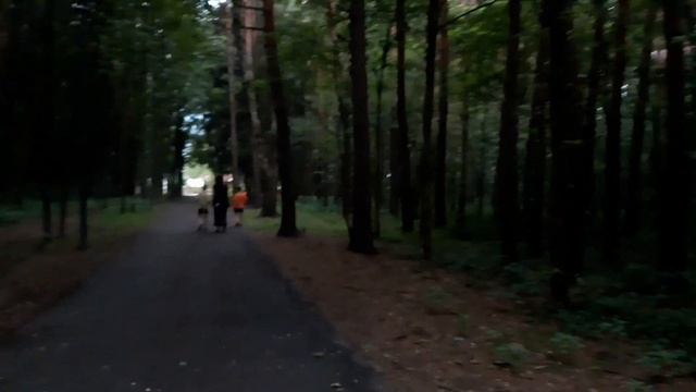 Ураган в Говоровском лесу, как мы спаслись от урагана. Выживание. смотреть онлайн