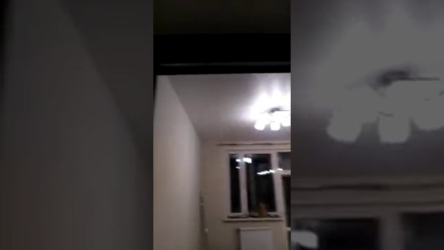 Раздвижная перегородка от Фабрики дверей Laora. смотреть онлайн