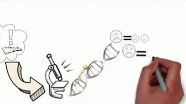 Концепция здоровья простая инструкция к нашему телу! Вот как быть здоровым!1 смотреть онлайн