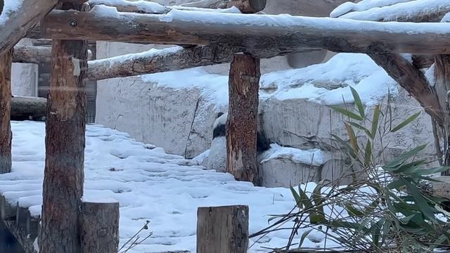 Новогодние каникулы | Новый год, поездка на машине в Москву, спонтанная поездка в Питер смотреть онлайн