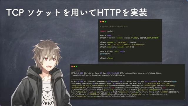 【Python/解説】HTTPの本質とは【HTTP/TCP/IP】 смотреть онлайн
