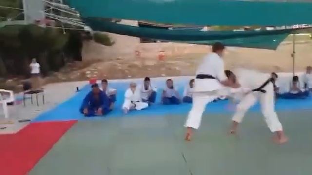 Sindoryu in Greece ?? Urikumi Go kumite смотреть онлайн