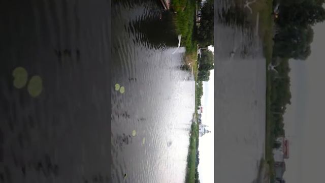 Чайки стаями ... смотреть онлайн