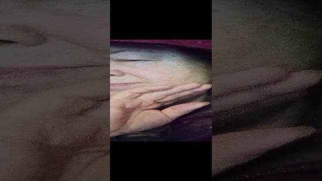 VID_20230312_094359.mp4 смотреть онлайн