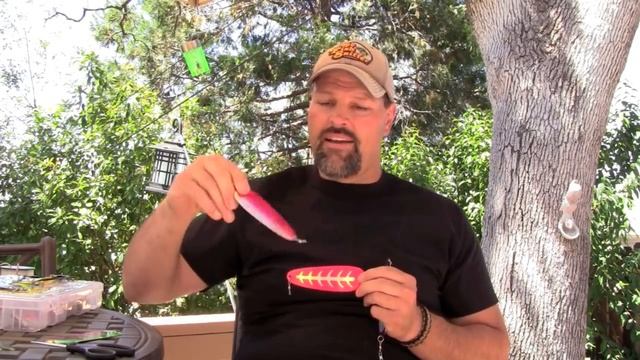 Trout And Salmon Dodger Basics смотреть онлайн