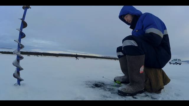 Зимняя рыбалка. Озеро Большое (Парное). Ловля окуня, ловля ерша на мормышку смотреть онлайн