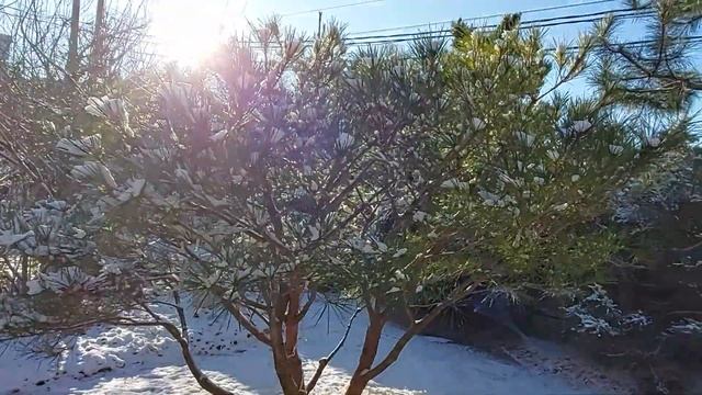 Мой японский сад. Рождественная Сказка. смотреть онлайн