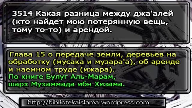 03514 Какая разница между джа'алей кто найдет мою потерянную вещь, тому то то и арендой смотреть онлайн
