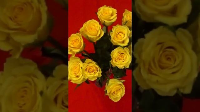 #Shorts ДАРИТЕ ЖЕНЩИНАМ ЦВЕТЫ! ДЕНЬ ВЛЮБЛЁННЫХ. НЕ ЗАБУДЬТЕ! FLOWERS FOR VALENTINE’S DAY. смотреть онлайн