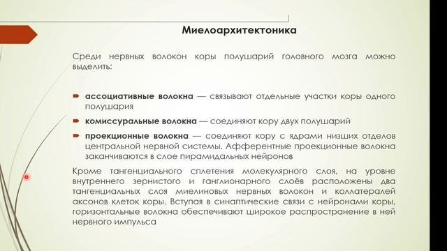 Аналитико-синтетическая деятельность коры головного мозга смотреть онлайн