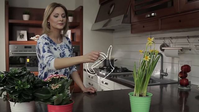 Невидимое может быть опасным смотреть онлайн