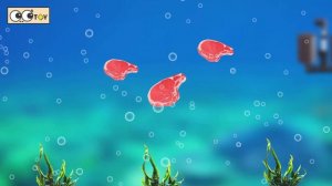 [FULL]  Let’s have a party for animals 1~5, animals names for children, happy 26minㅣCoCosToy