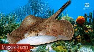 животные для детей часть 10 учим насекомых и животные Африки учим животных Африки звуки животных