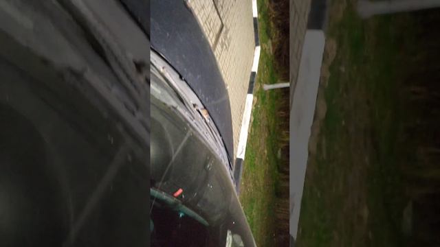 у меня в машине завелась мышь! смотреть онлайн