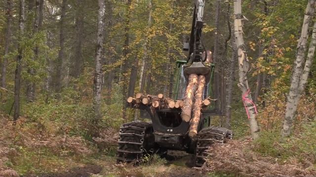 Pour une intégration professionnelle réussie des personnes immigrantes, Points de vue d'employés (1 смотреть онлайн