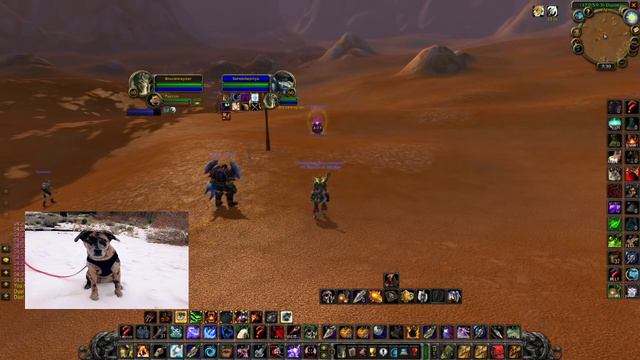 Brucewayner - CDL Group Stage - WoW Classic Day 262 смотреть онлайн