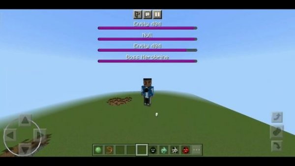 Entity mod for Minecraft pocket edition 1.19 | herobrine, entity 303,404,Null | entity 303 mod pe
