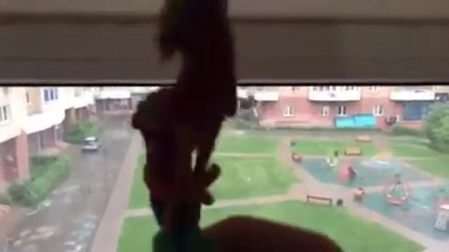 две подруги поспорили смотреть онлайн