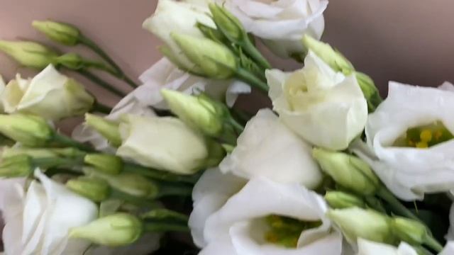 Букет из 9 эустом смотреть онлайн