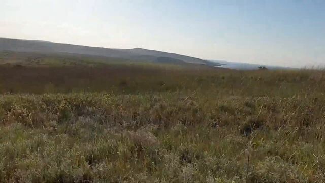 Крымские степи, Керченский полуостров смотреть онлайн